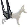 Injured Dog Hind Leg Support Harness for Rehabilitation
