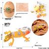 4D Insect Model Toy Set: Ladybug, Stag Beetle, Centipede, Ant, Fly, Mantis