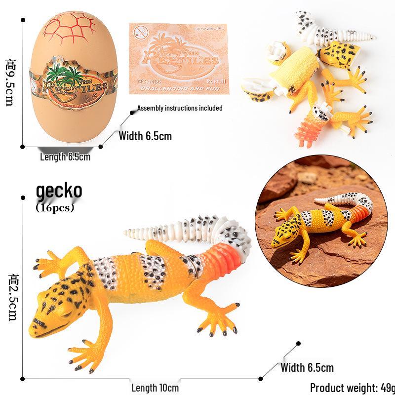 4D Insect Model Toy Set: Ladybug, Stag Beetle, Centipede, Ant, Fly, Mantis