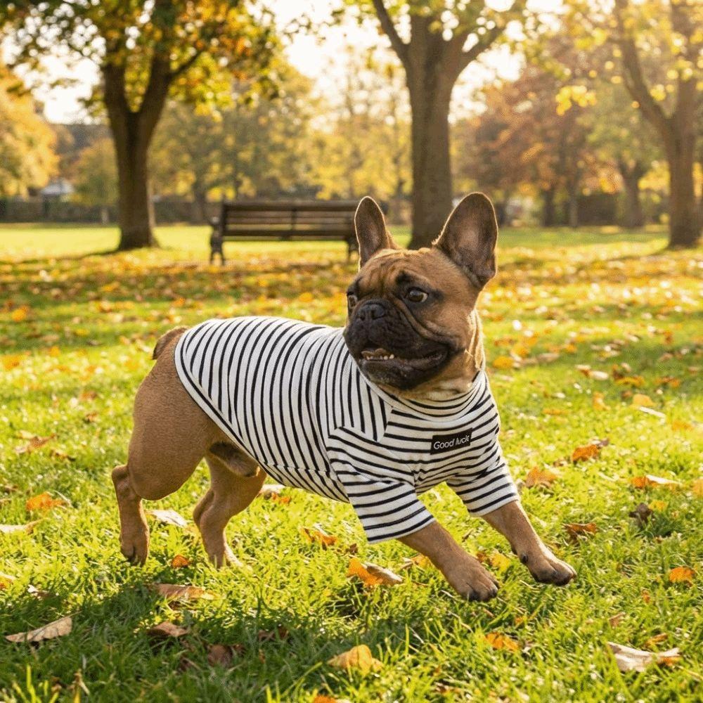 Soft Dog Thermal Shirt High Collar Striped Sweatshirt Pet Warm Sweater  Cold Weather