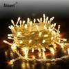 Aosairui LED Garden String Lights