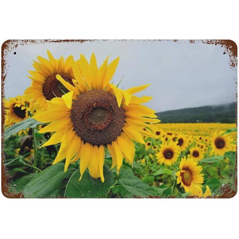 Sunflowers Metal Tin Signs You Are My Sunshine Wall Art Posters Plaque Vintage Iron Painting Decoration for Home Cafe Club Ba
