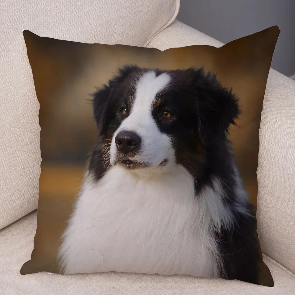 Morbida Peluche Carino Animale Domestico Copricuscino Scozia Border Collie Federa per Divano Auto Decorazione Cane Stampato Federa,(4)
