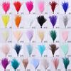 Feather1 Bundle Piume di Struzzo Naturali Filo Colorato 10-15/15-18CM Piumaggio Soffice Per Abiti Borsa Decorazione Artigianato Cucito