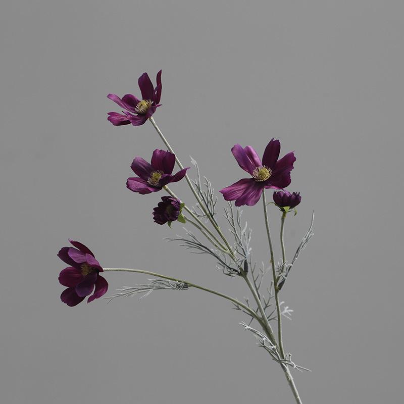 Pastoralne Kwiatowe Jedwabne Kosmosy i Kosmosy Symulowane Kwiaty