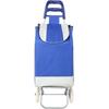 Carro Plegable Ligero para Personas Mayores - Carrito Portátil para Compras, Equipaje y Transporte
