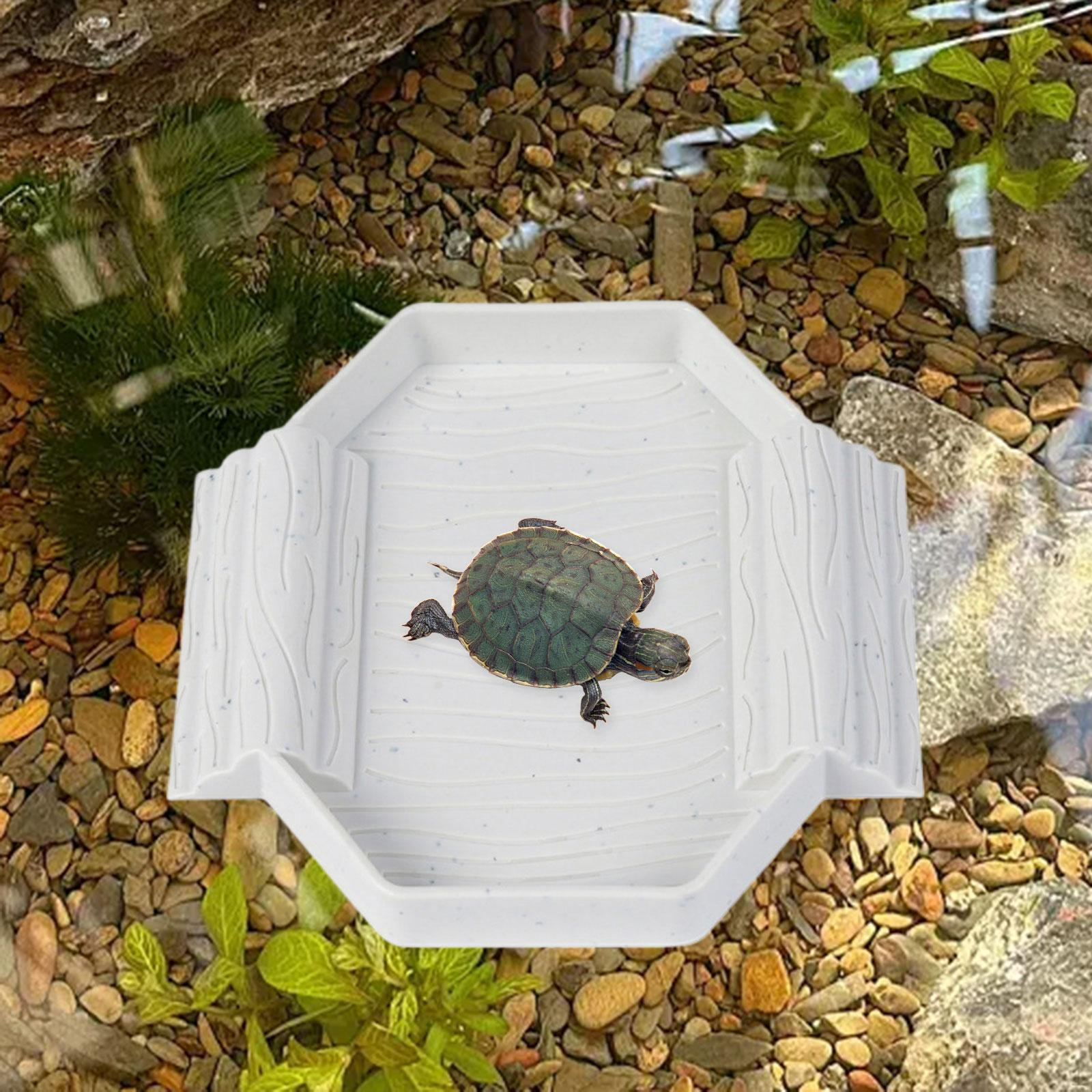 

Украшение для аквариума для черепахи и геккона с поилкой