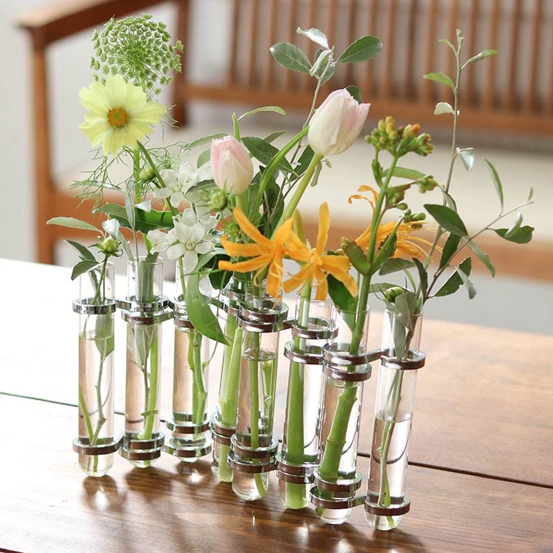 Dulton Link Tube Base, Silver, Test Tube Glass Vase for Flowers, Height 150mm, Width 65-310mm, Depth 35mm, CH03-V76SV
