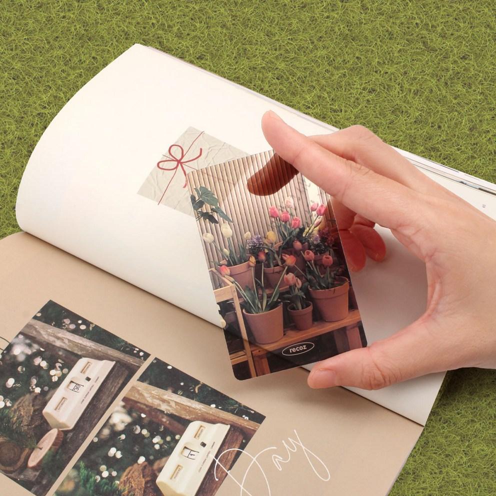 Ricos Translucent Photocard Bookmark 4-Piece Set, Plant, 1 Set