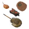 King Crab Earthworm Simulation Insect Educational Toys Children Octopus Salmon Realistic Life Cycle Growth Cycle Model