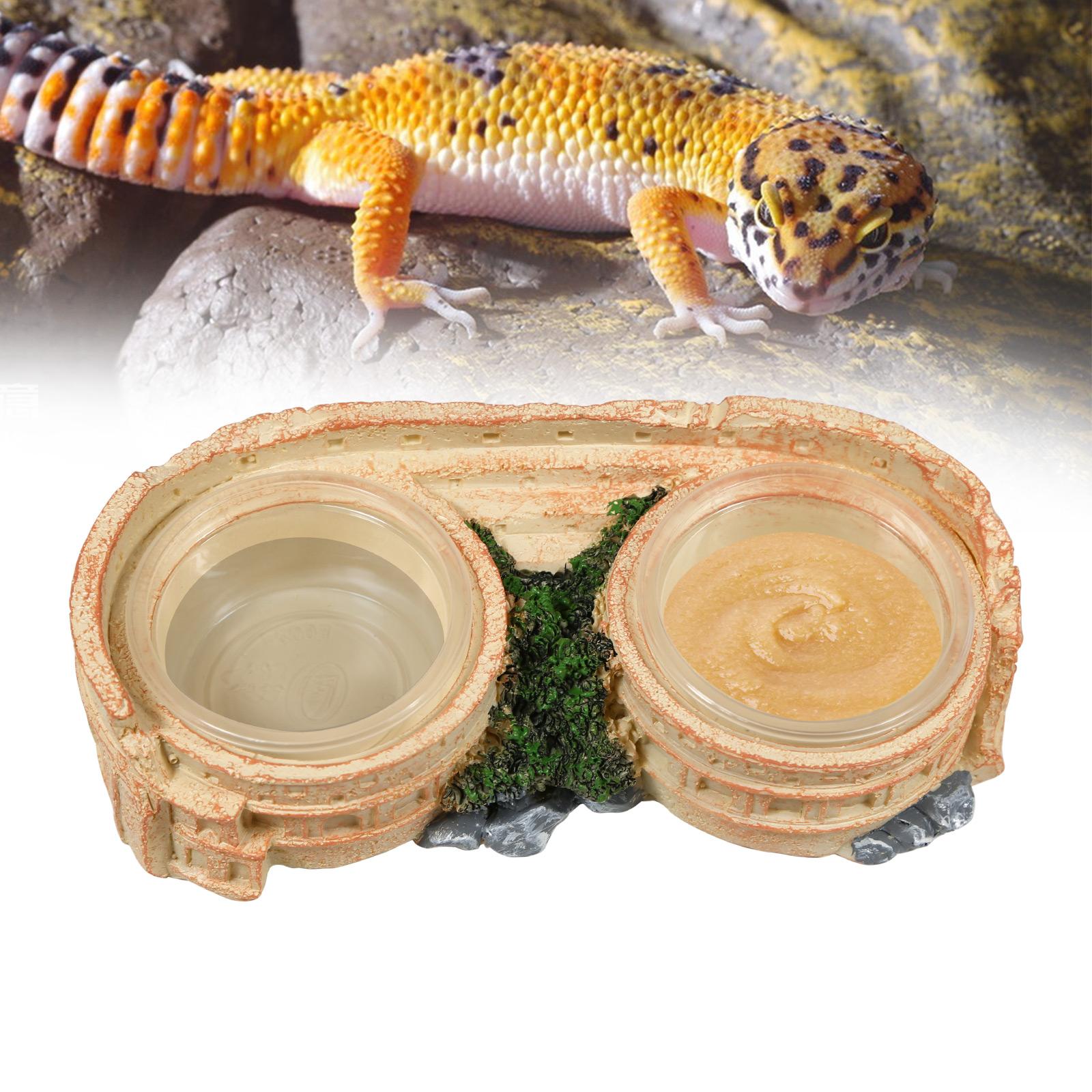 

2-in-1 Reptile Feeder & Waterer Bowl – Durable Resin Tray with Easy Cleaning Bowls for Reptiles