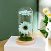 Simulation Sunflower New Sunflower Night Light Ornament Glass Cover Creative Mother's Day Valentine's Day Gift