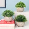 3 Pack Mini Artificial Plants Fake Green Grass Pot Artificial Simulation Plants Sets for Home Kitchen Garden Office