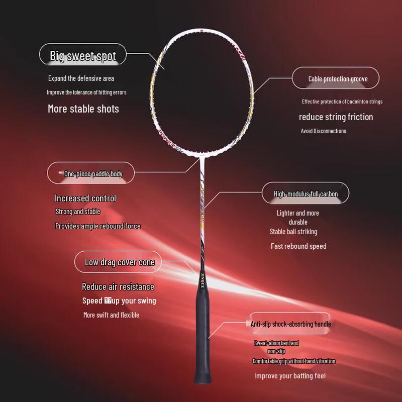 Double Fish Full Carbon Fiber Badminton Racket