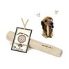Mochico (Mochiko) Dog Coffee Tree Dog Chew Toy Wood M Size Additive-Free 100% Natural Dental Care Chew Tree Chewing Toy Caffeine Free