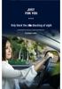Car Door Mosquito Screen Mesh: Insect-Proof Sunshade for Windows