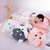 80/100cm Lieblich Weich Kaninchen Schwein Sibirischer Husky Raupe Plüsch Großes Kissen Stofftier Spielzeug Wurm Puppe Kinder Geburtstagsgeschenk