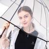 Transparent Straight Handle Umbrella