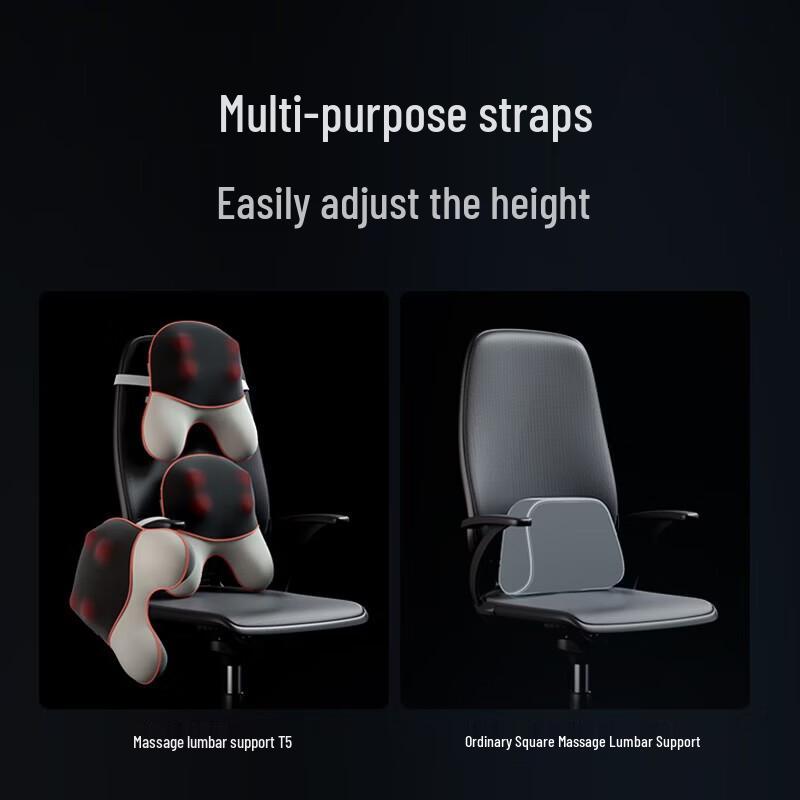 SKG Lumbar & Back Massage Cushion T5 CN plug (adapter included)