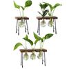 Glass Flower Vase Hydroponic Flower Vase Plant Pot Wooden Frame Home Decor Flower Pot Bud Vase Modern for Office Table