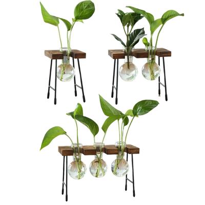 Glass Flower Vase Hydroponic Flower Vase Plant Pot Wooden Frame Home Decor Flower Pot Bud Vase Modern for Office Table