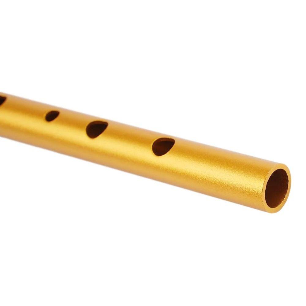 Professional Irish Whistle Flute 6 Hole Irish Whistle Musical  Accessories Ireland Flute  Beginner