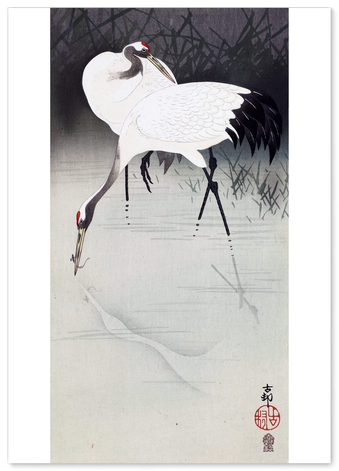 

Плакат Koson Ohara Crane Размер A3 в интерьерной живописи Арт Обои Плакат Краснокоронованный (Японская живопись) [Сделано в Японии] [Для обоев]