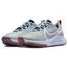 New Nike React Pegasus Trail 4 Light Smoke Grey Black Glacier Blue White Women's DJ6159-005