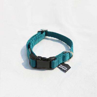 Blue Green Basic Leash
