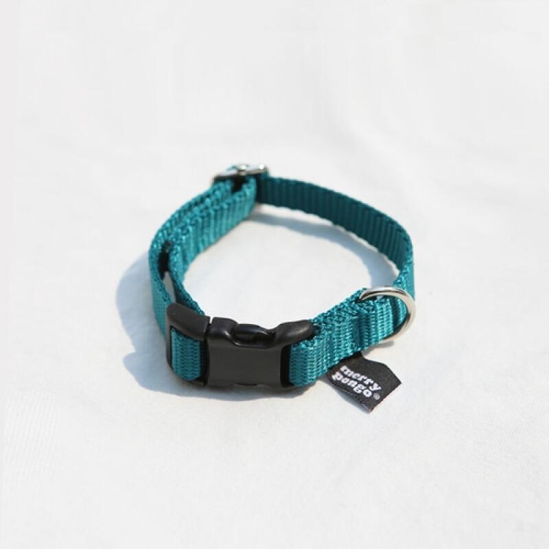 

Blue Green Basic Leash