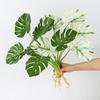 Large Size Artificial Plant 7 Heads Simulation Turtle Leaf Fake Greenery  Leaf  Photo Props