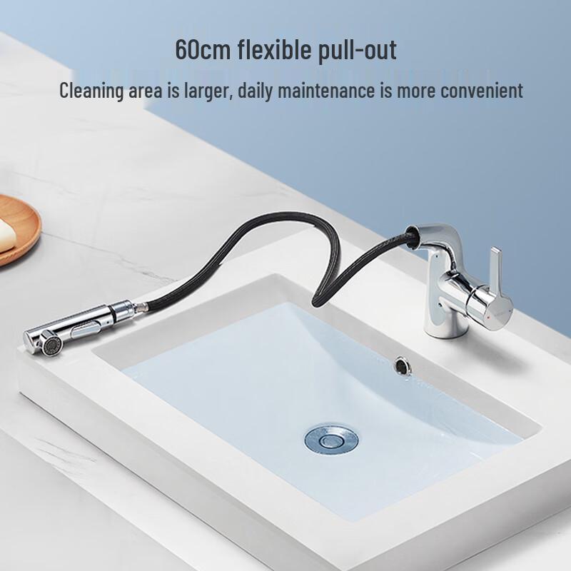HEGII Pull-Out Basin Faucet