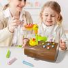 Toys For Ages 2-4; Montessori Toys, Fine Motor Skills Toddler Toys Age 2-4, Woodpecker Worm Toy Magnetic Bird Feeding Game