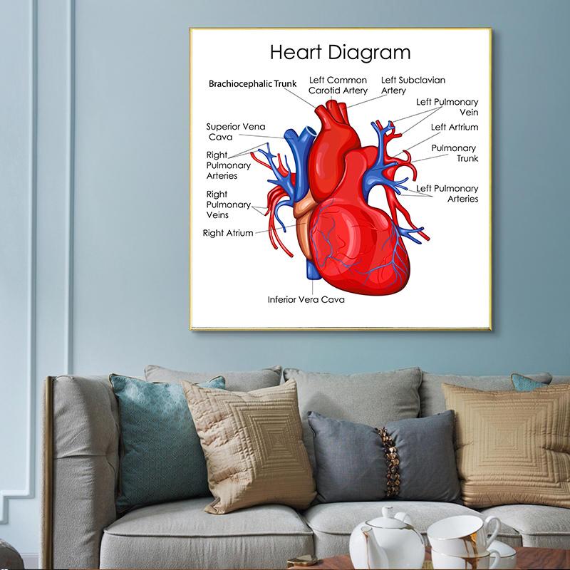 Human Organs Brain Liver Heart Anatomy Poster Print Canvas Painting Human Body Map Medical Classroom Office Room Home Decoration