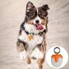 Rotating Dog Collar Light 4 Modes IPX8 Waterproof USB Rechargeable Dog Light