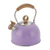 Whistling Stovetop Kettle Stainless Steel Tea Pot Heat Resistant Handle for Electric and Induction Stoves