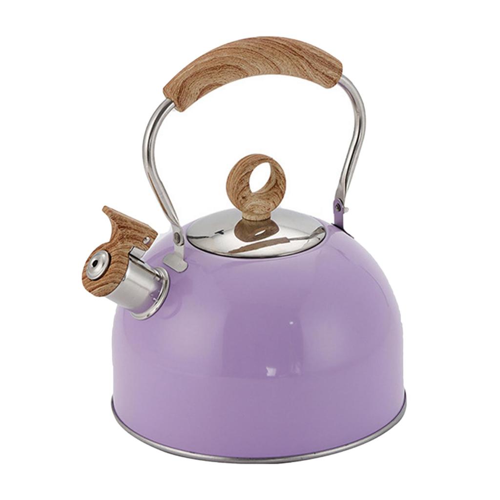 Whistling Stovetop Kettle Stainless Steel Tea Pot Heat Resistant Handle for Electric and Induction Stoves