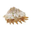 Durable Acetate Hair Clamps Sea Animals Claw Clip for Women, Elegant Ocean Theme Hairpin, Cute Marine Life Clips Lightweight Fish/Turtle/Conch/Octopus