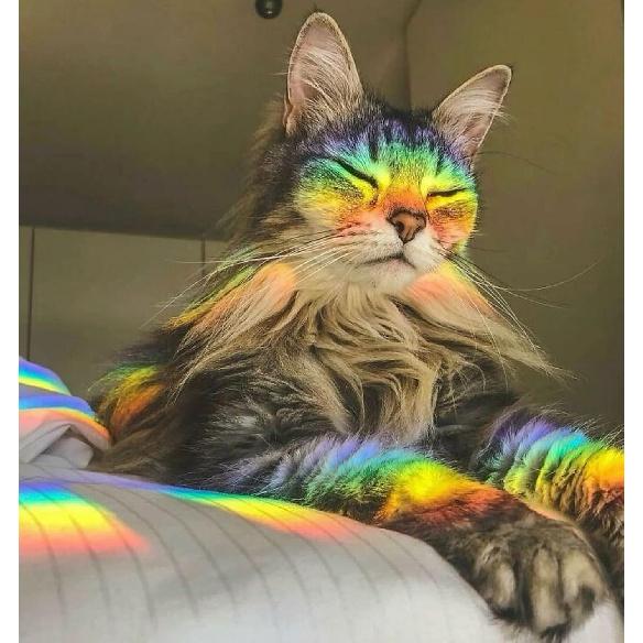 Rainbow Window Stickers, 18 Pcs Prism Window Cling for Windows Bird Deterrent, Sun Catcher Sticker (2 Sheets)