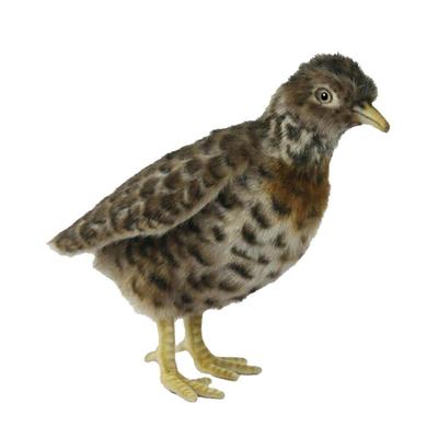 Hansa Plains Wanderer (19 cm H)