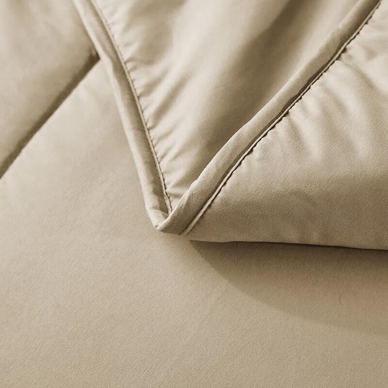 Donald Home Textiles Camel Down & Polyester Blend All-Season Duvet