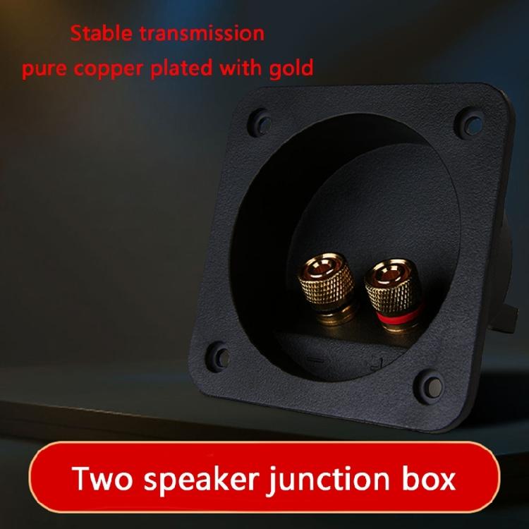 Universals Speaker Terminals Box For DIY Sound Projects With Two Binding Posts And 68mm Cutout Diameter