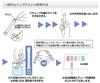 Kyoritsu Chemical Research Institute Pack Silica Test(R) (Low Concentration) WAK-SiO2(D) /6-8675-24