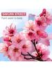1pc Cherry Blossom Underarm Deodorant Spray, Odor Eliminating, Personal Care, Quickly Stops Sweating