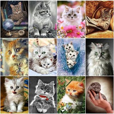Diamond Painting Cat Full Round/čtverec Diamantové vyšívání Zvířátka Obrázek drahokamu Křížkový steh Diamantová mozaika Ruční práce