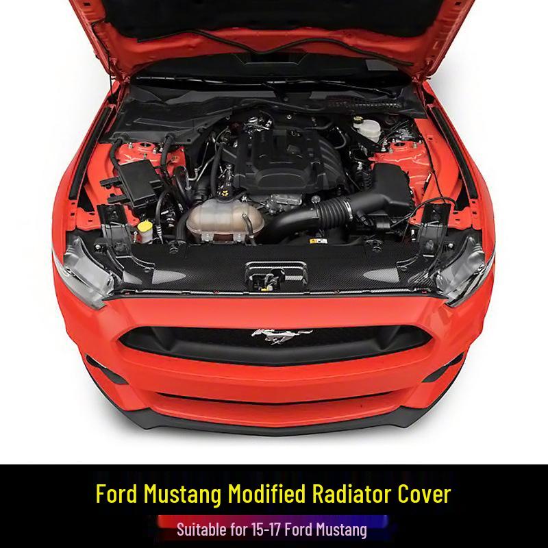 Carbon Fiber Radiator Cover & Hood Latch Guard for 15-17 Ford Mustang
