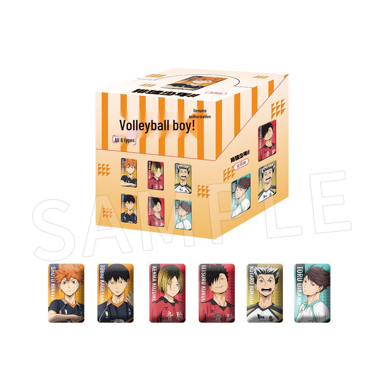 Хайкюу!! Коллекция значков «Сёё Хината и Тобио Кагэяма» (Слепой бокс) 43*70MM