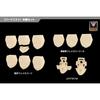 Kotobukiya Megami Device M.S.G 03 Face Set for Asura, Skin Color D, Approximately 19mm Tall, 1/1 Scale Plastic Model