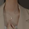 Six-claw Single Diamond Zircon Necklace Women's Simple Light Luxury Niche Design Clavicle Chain