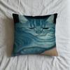 H-Hosono Cushion Cover Soft Case Sofa Living Cute Room Home Comfortable Office Decor Protective Art Cat K-Karin Pillow